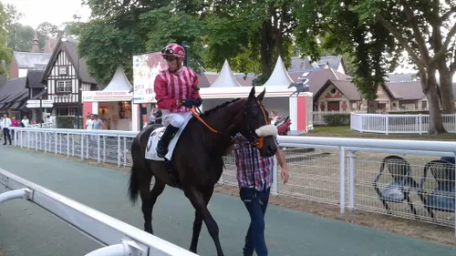 Hippisme : nos préférés pour ce samedi 18 septembre